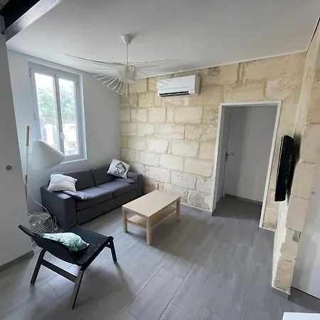Maison Pierre Avec Terrasse Exterieur Et Jardin * Le Bouscat